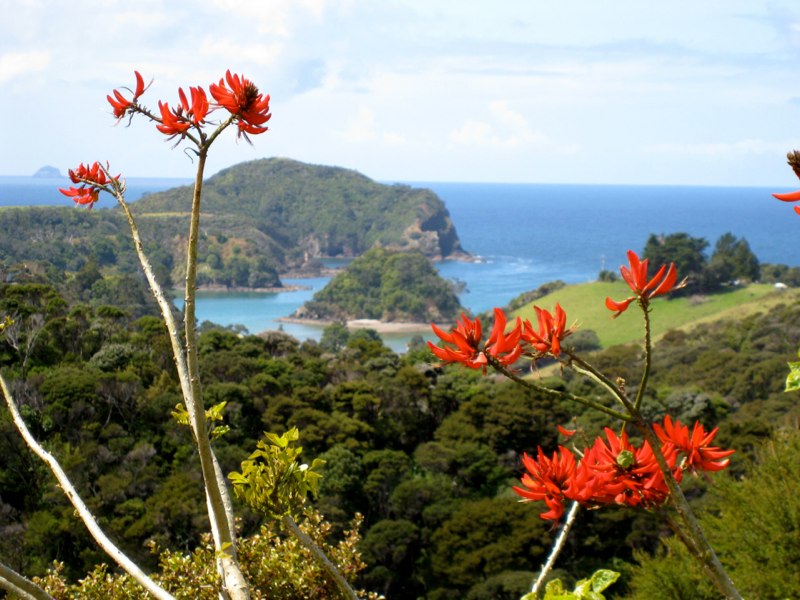 NZ Coromandel photo 3