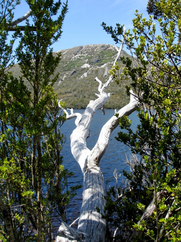 AUS-Tasmania photo 60