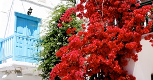 Greece
