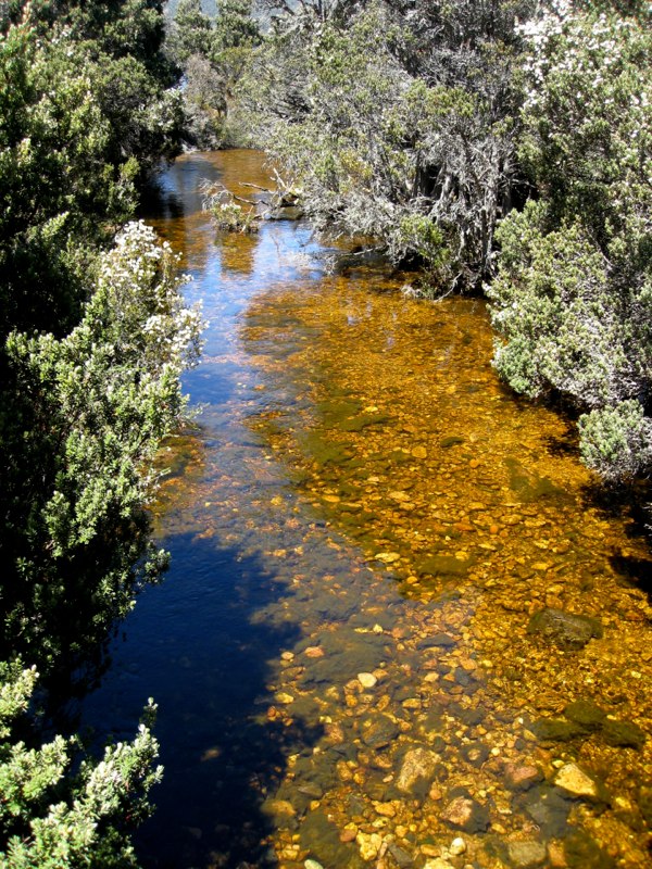 AUS-Tasmania photo 40