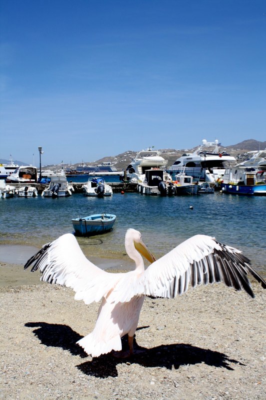 Mykonos photo 42
