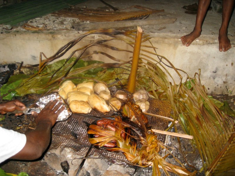 Fiji, Taveuni photo 82