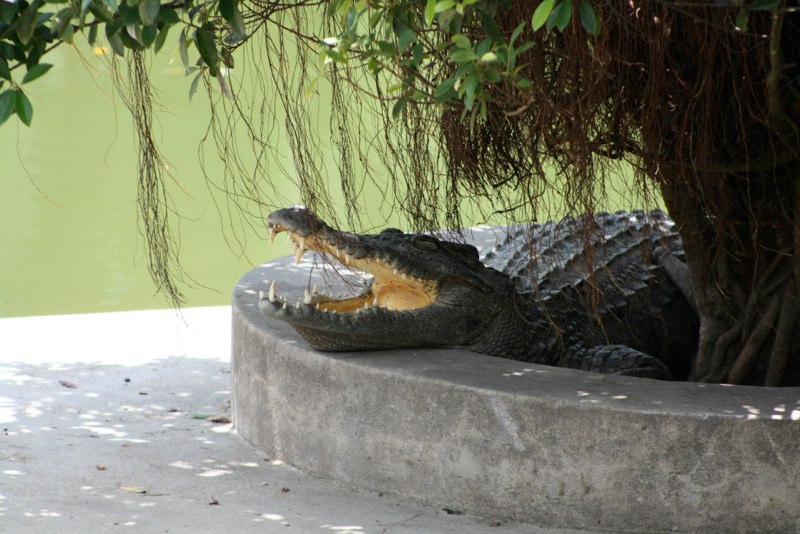 Vietnam 2 photo 59