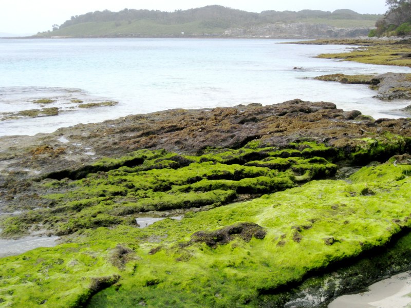 AUS-Jervis Bay photo 14