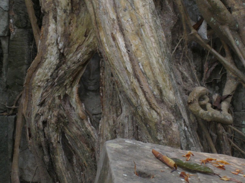 Can you see the face ??