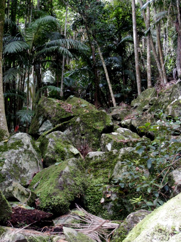 AUS-GoldCoast photo 28