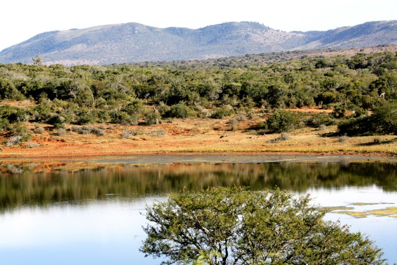 Eastern Cape photo 48