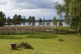 Midsummer in Sunnanhed