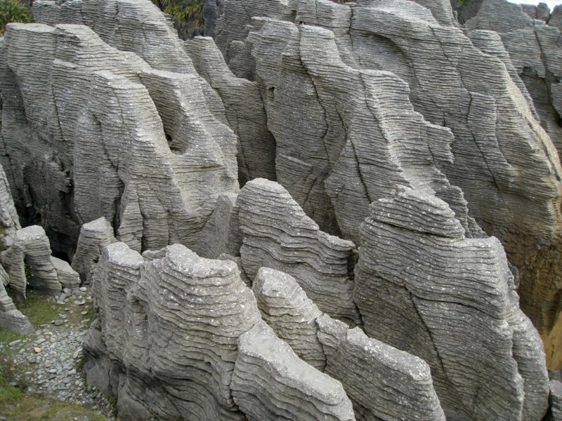 NZ Glacier Album photo 2