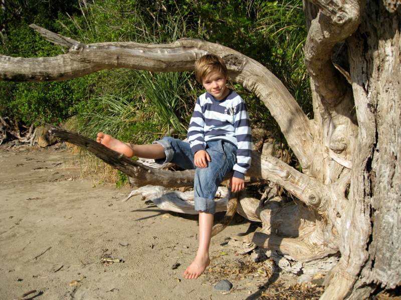 Oskar on a tree branch