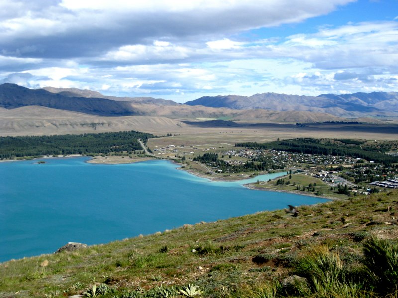 NZ Tekapo photo 51