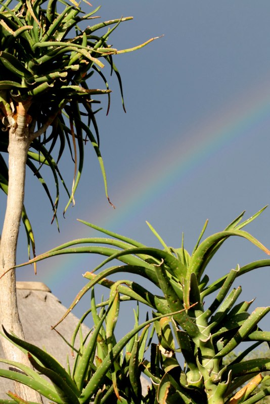 Eastern Cape photo 42