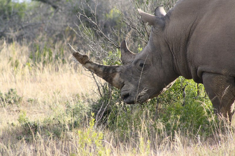 Eastern Cape photo 71