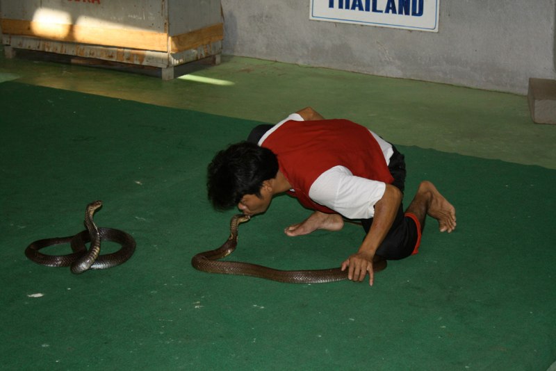 Kiss of death!