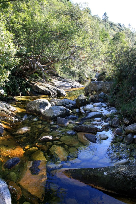 Garden Route photo 39