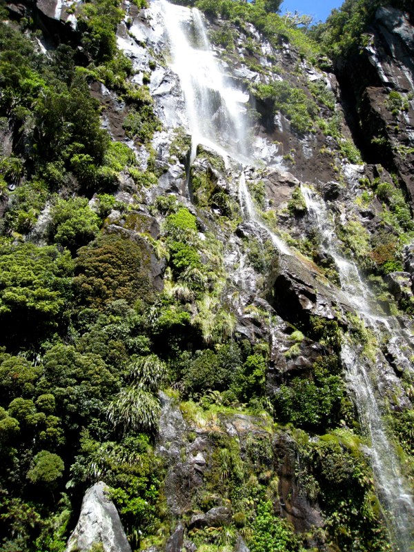 NZ Queenstown &Milford sounds photo 48