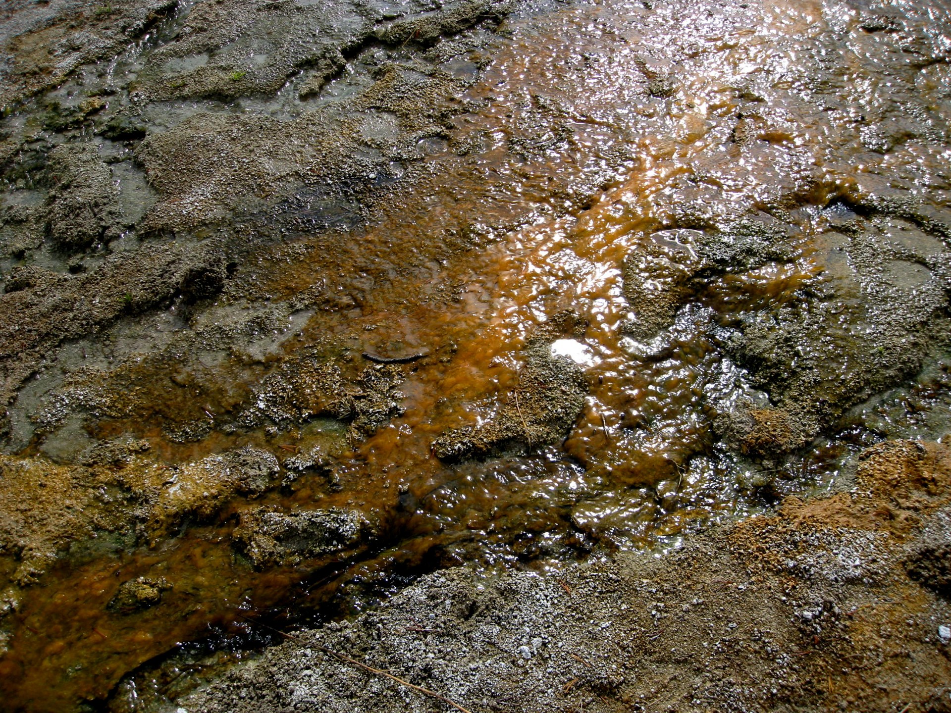 Montana photo 48
