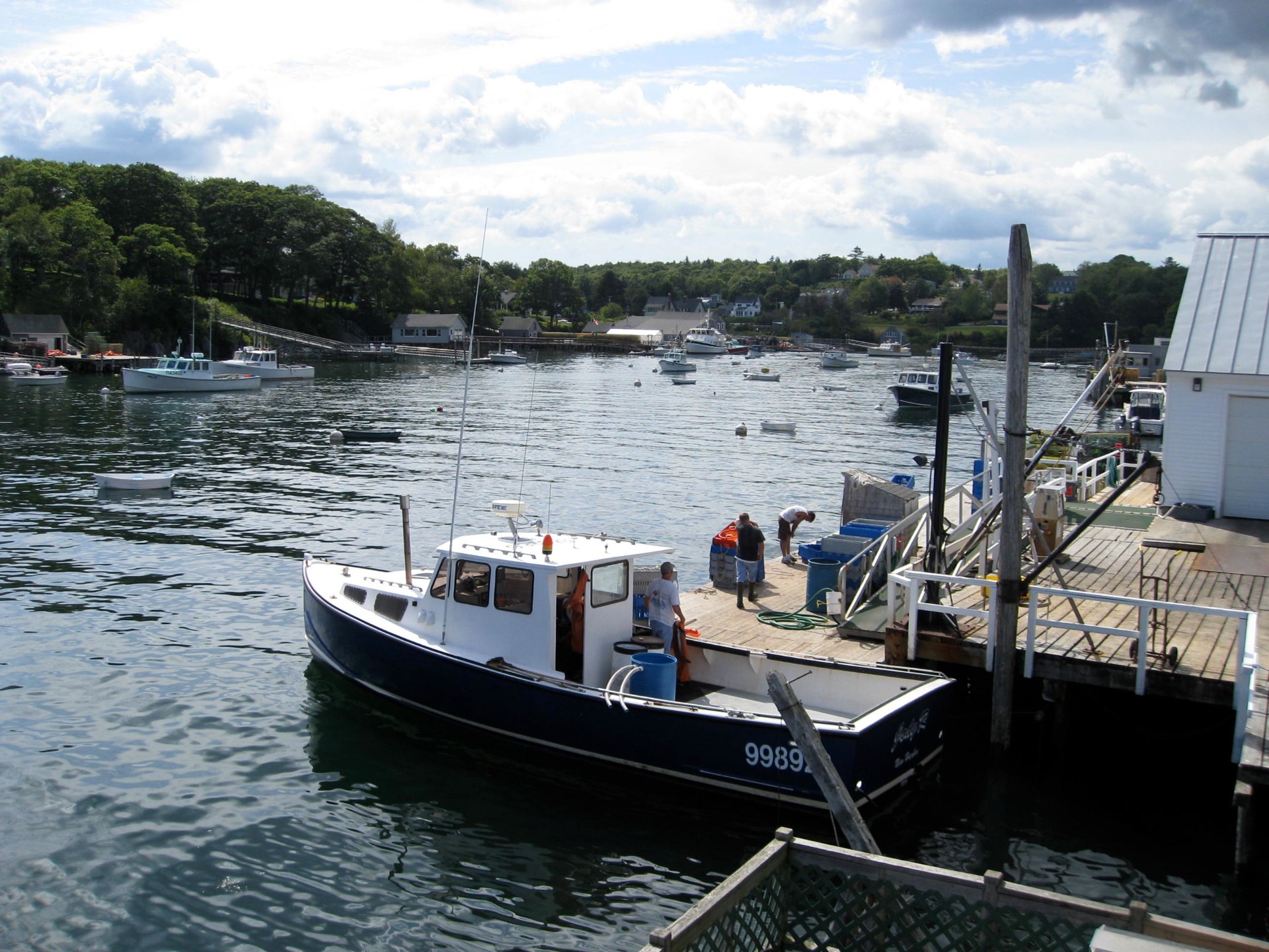 Maine photo 15