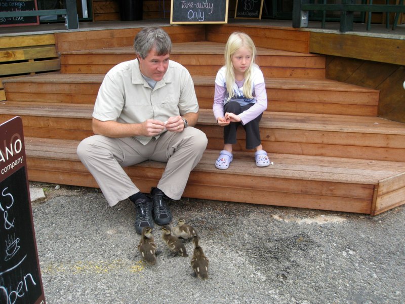 Feeding ducklings