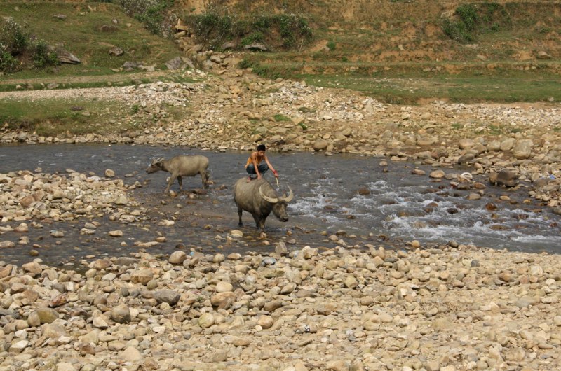 Sapa photo 42