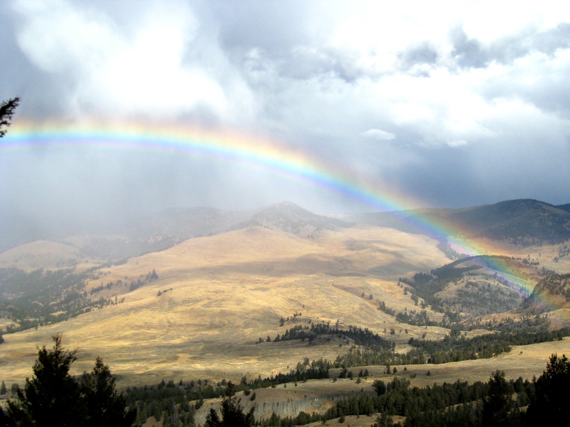 Montana photo 22