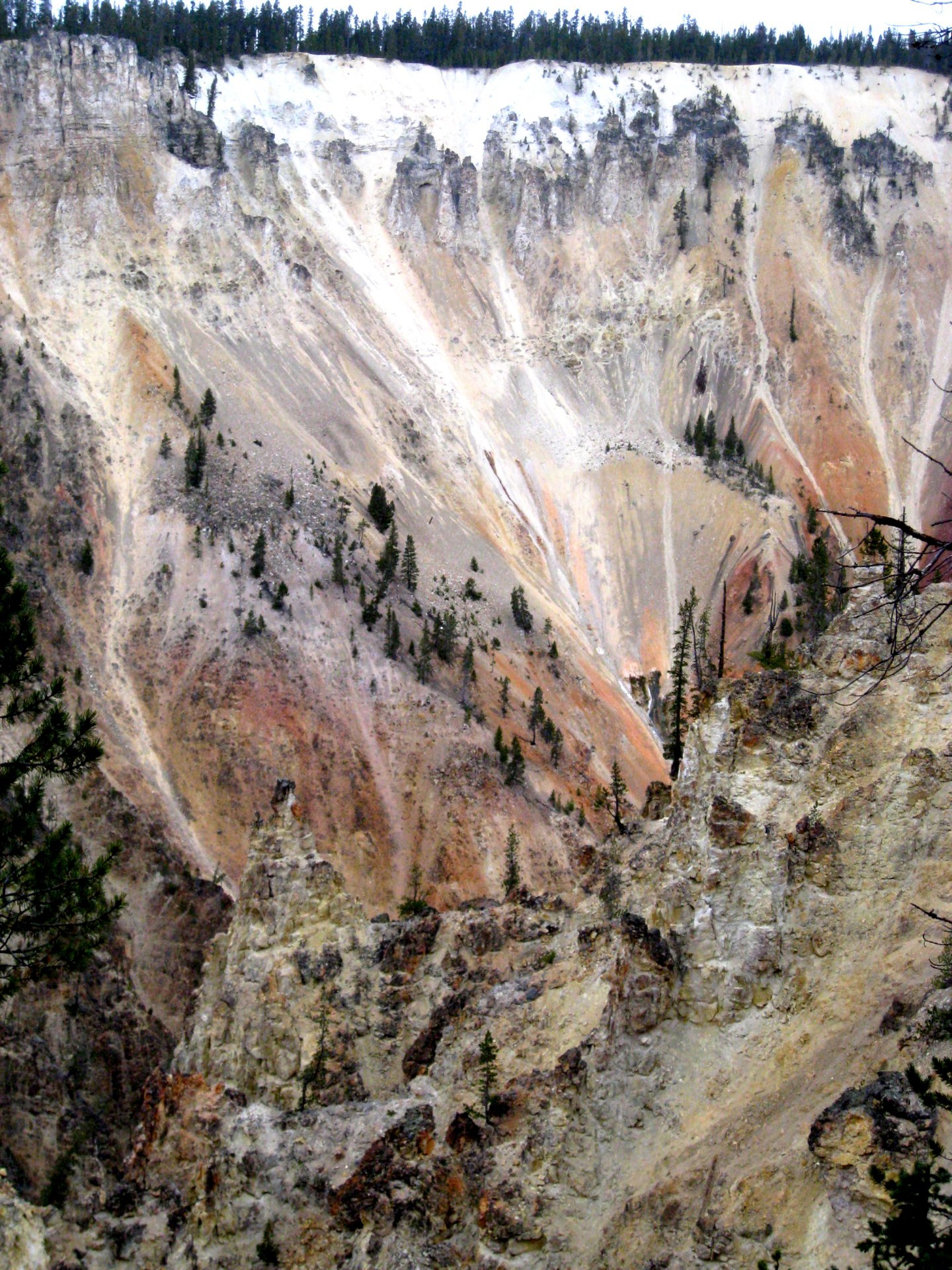 Montana photo 34
