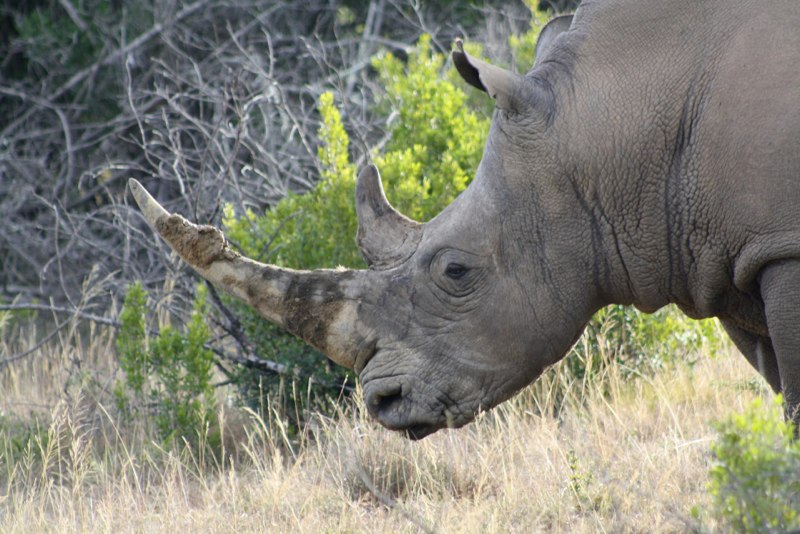 Eastern Cape photo 73