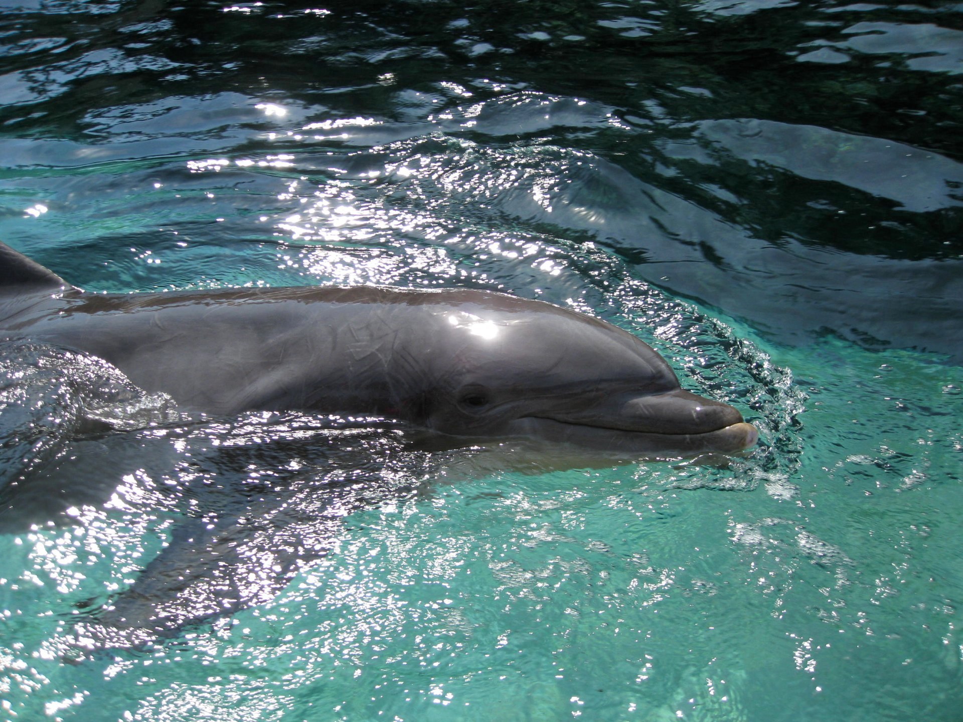Sea World