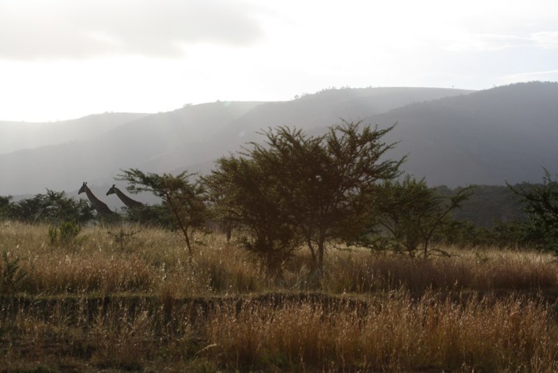 Eastern Cape photo 75