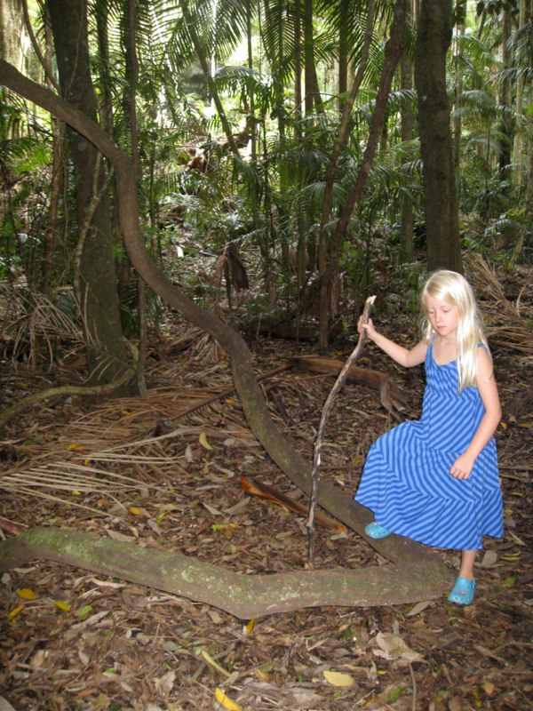 AUS-GoldCoast photo 32