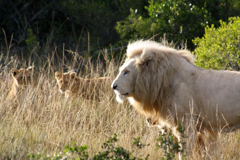 Eastern Cape photo 59