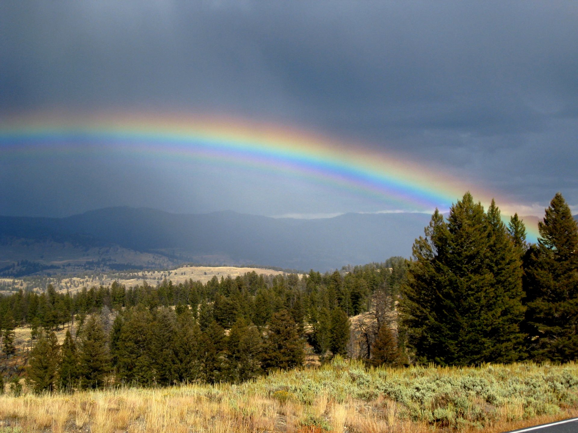 Montana photo 18