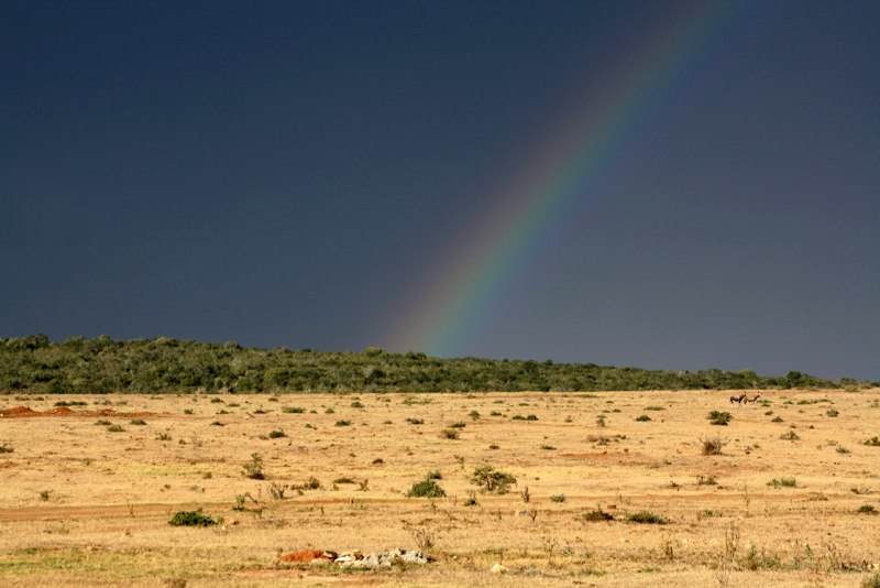 A rainbow