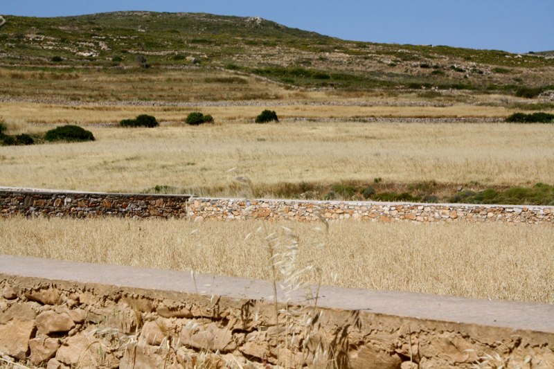 Paros photo 54