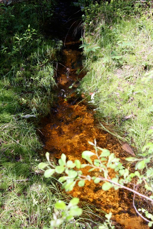 with a small stream