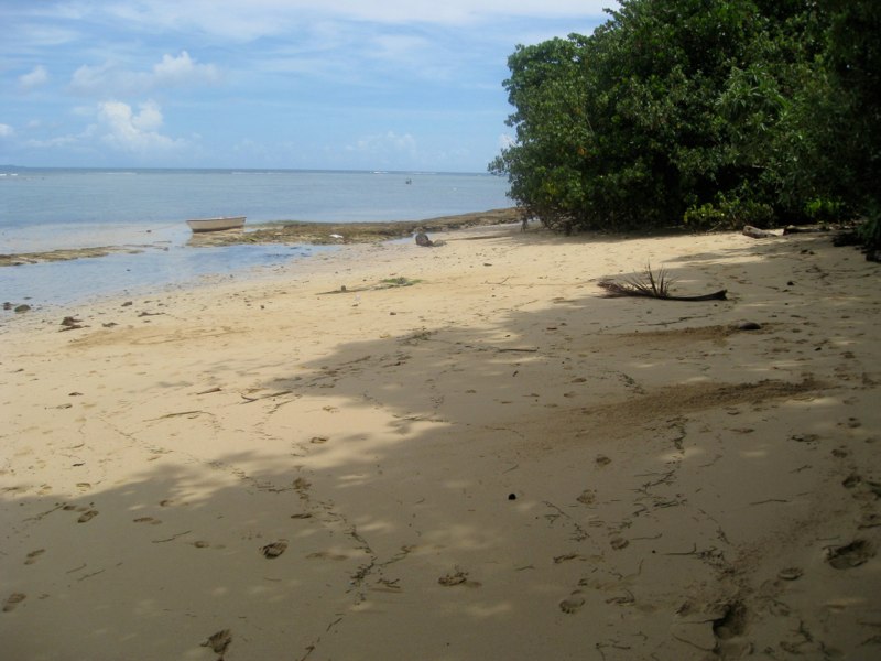 The beach we got married on
