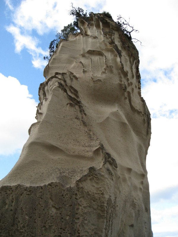 NZ Coromandel photo 42
