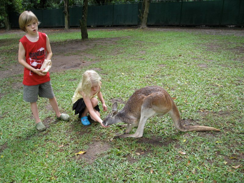 AUS-Sunshine Coast photo 26