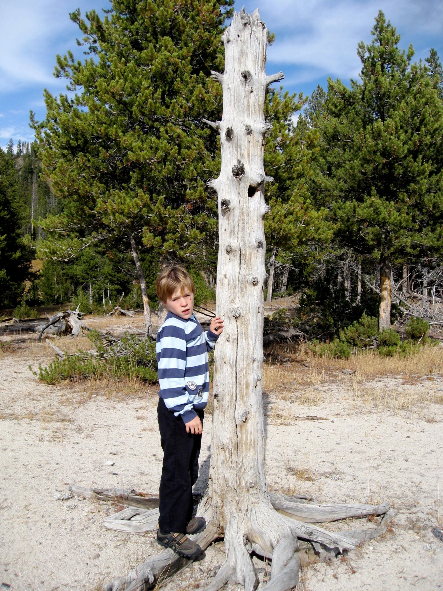 Montana photo 67