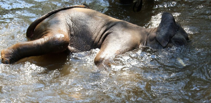 I love to be clean!