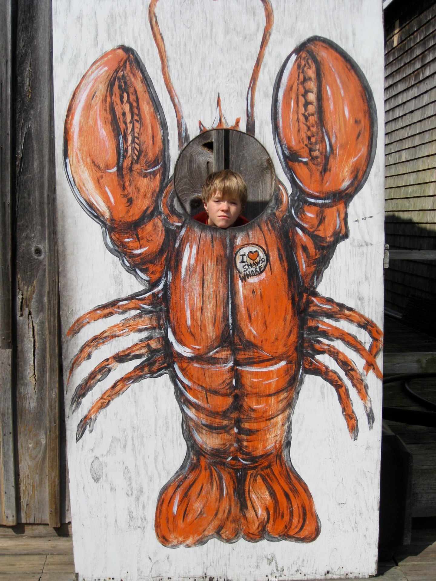 Big lobster