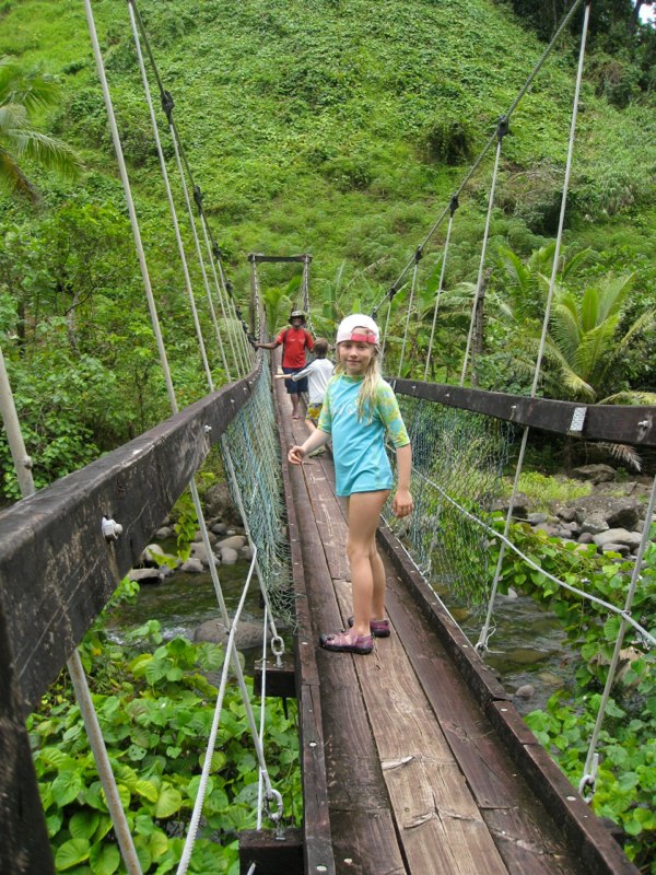 Fiji, Taveuni photo 41