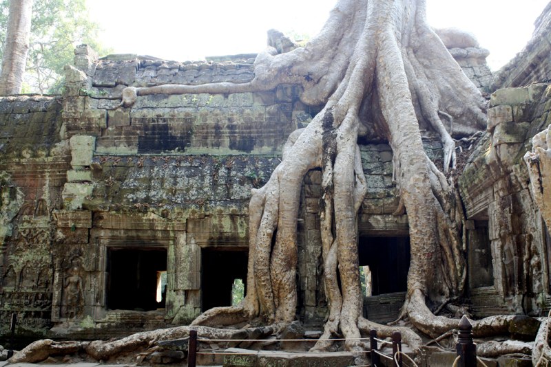 Cambodia photo 15