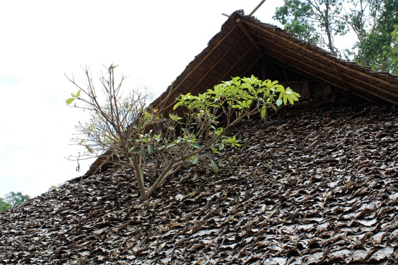 Chiang Mai photo 47