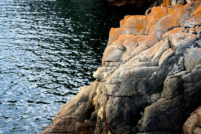 Garden Route photo 30