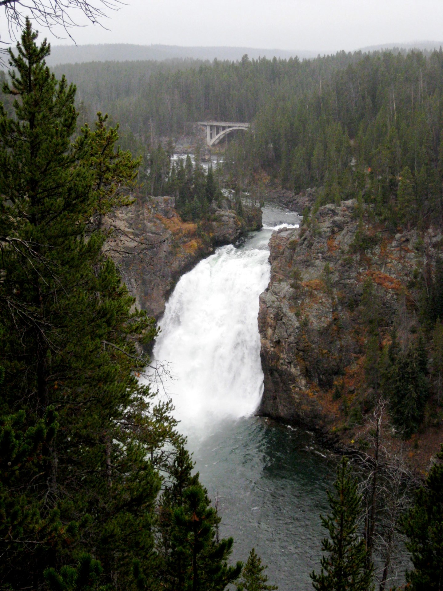 Montana photo 40