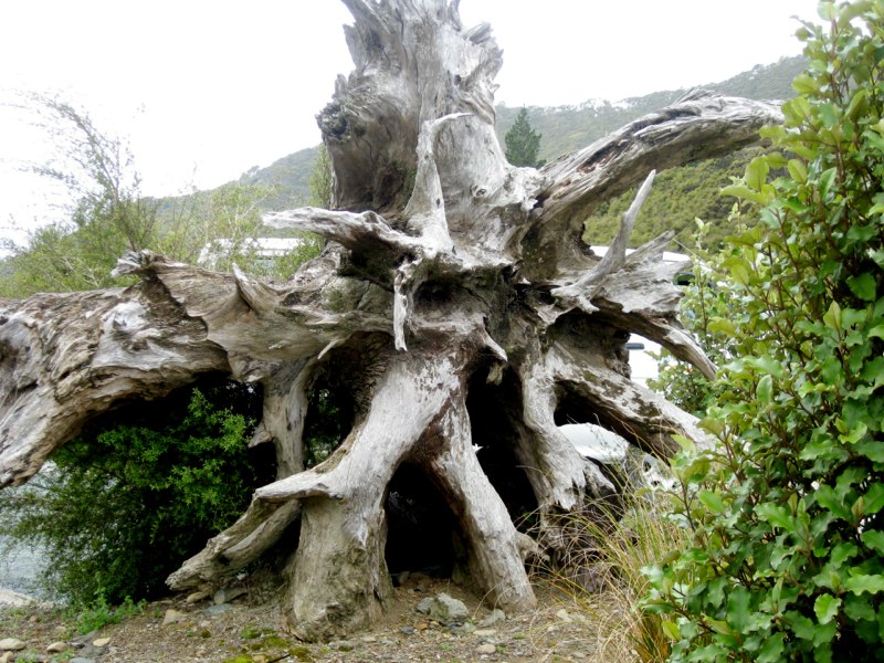 NZ Nelson photo 22