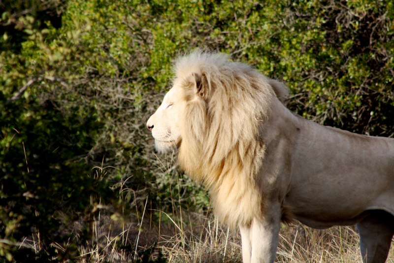 Eastern Cape photo 58