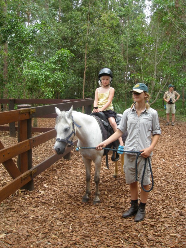 Pony ride