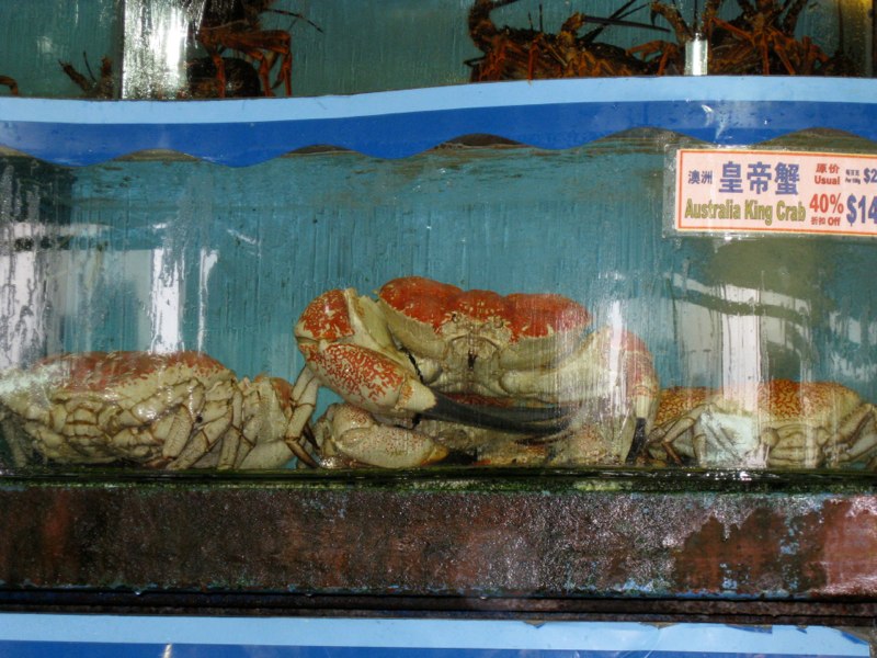 Look at that crab